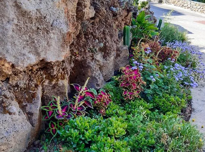 Lava Homes فيلة *