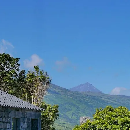 Villa Lava Homes *