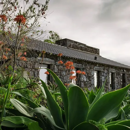 Lava Homes Villa